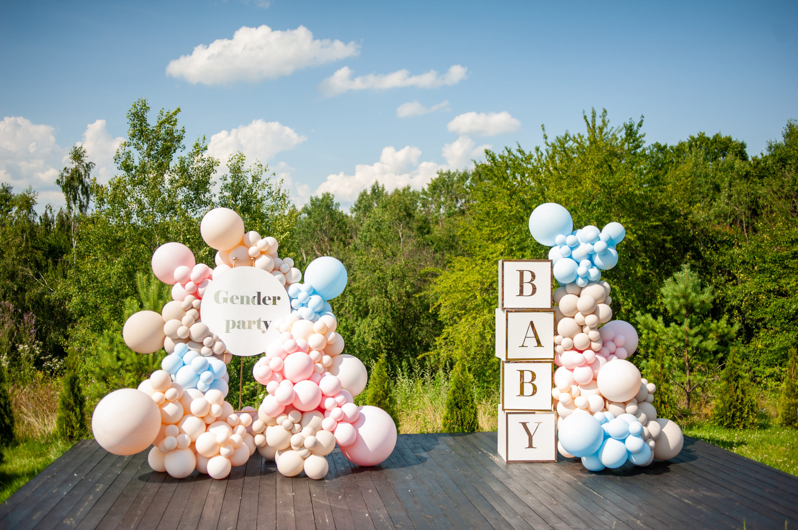 Gender reveal Party, Baby Shower, Eventplanung und Eventmanagement by Lunaris Event Planning